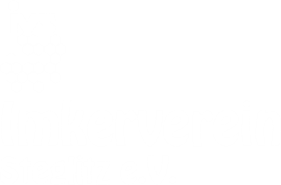 IVS-Logo